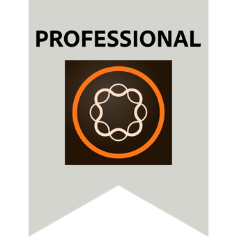 Adobe Professional – Adobe Experience Manager Front-End Developer
